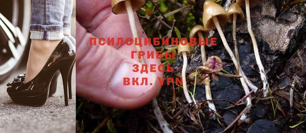 каннабис Баксан