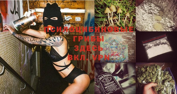 винт Белокуриха