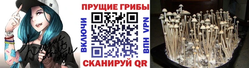 наркошоп  Зверево  Галлюциногенные грибы мицелий 